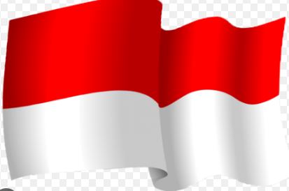 Indonesia فيزا اندنويسيا  / جزيرة بالي ( إلكترونية )