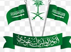 فيزة عبور سعوديه