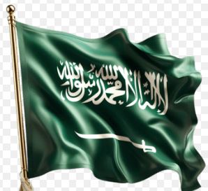 Saudi Arabia Visa جوا